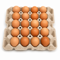 HUCARMA HUEVOS XL CARTON 20 UNID. 73GR APROX.