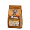 ULTIMA MEDIUM/MAXI ADULT POLLO 3 KG
