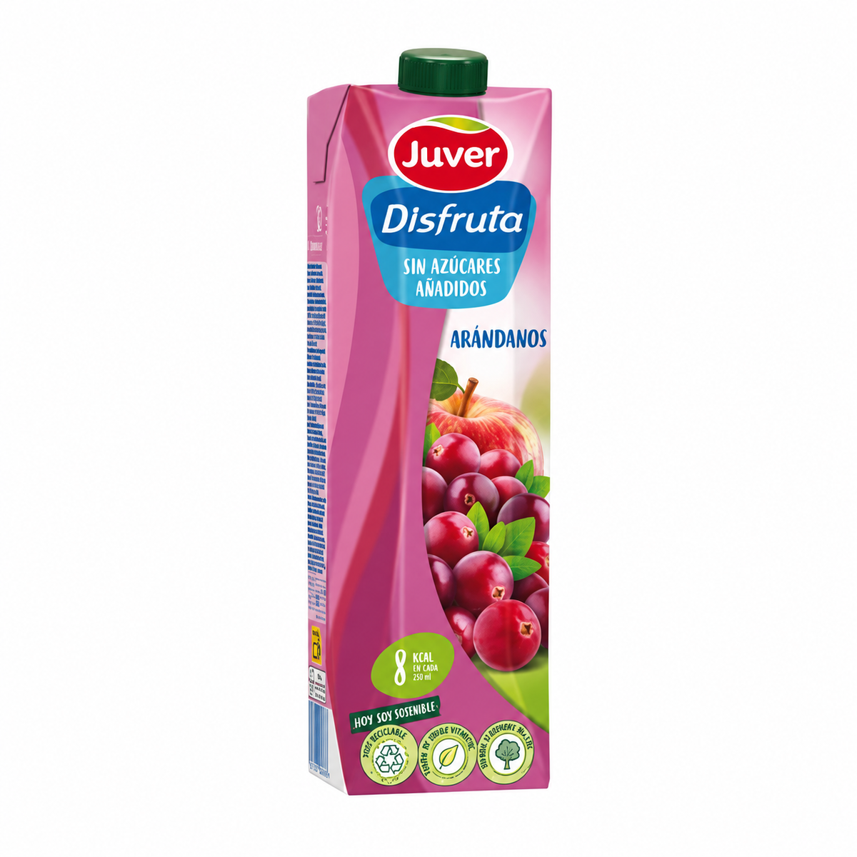 JUVER DISFRUTA ARANDANOS S/AZ AÑADIDOS BRIK 1L